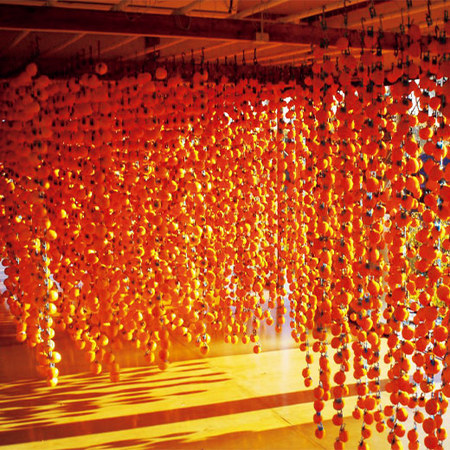 お徳用市田柿１キロ　２０２４年１月中旬頃―１月下旬頃お届け