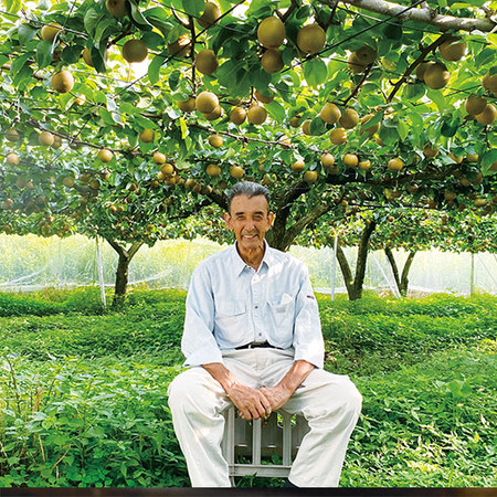 梨作り名人！黒川さん自慢の新高梨　９月下旬頃 ―１０月中旬頃お届け