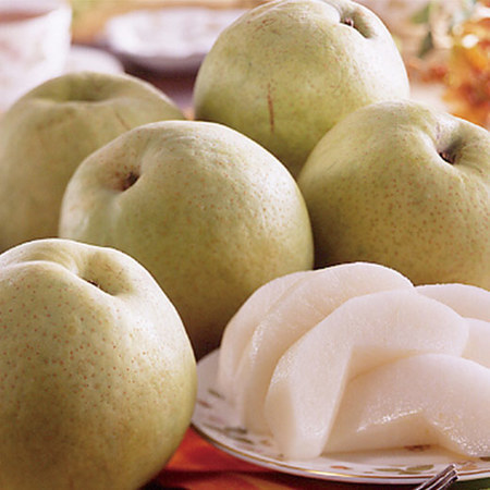 梨作り名人！自慢のかおり梨　９月中旬頃―１０月上旬頃お届け