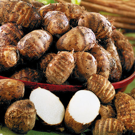 赤柄里芋３キロ　１０月上旬頃ー１０月下旬頃お届け