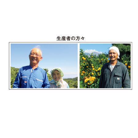 ご家庭用モグラのみかん９キロ　１０月中旬頃ー１２月中旬頃お届け