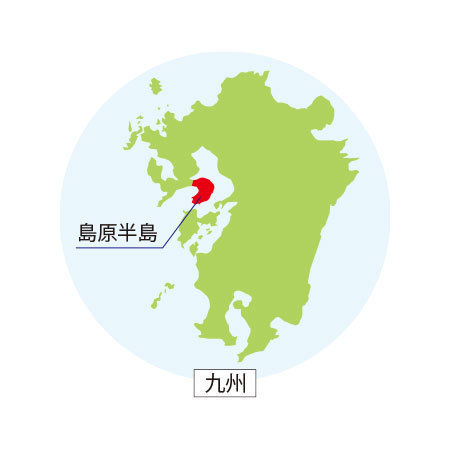 ご家庭用モグラのみかん９キロ　１０月下旬頃ー１２月中旬頃お届け