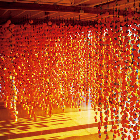 お徳用市田柿（５００ｇ）　２０２６年１月中旬頃ー２０２６年１月下旬頃お届け