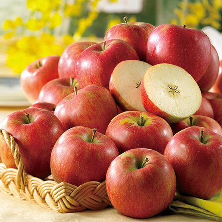 工藤さんが選んだ訳ありシナノスイート 　１０月下旬頃―１１月中旬頃お届け