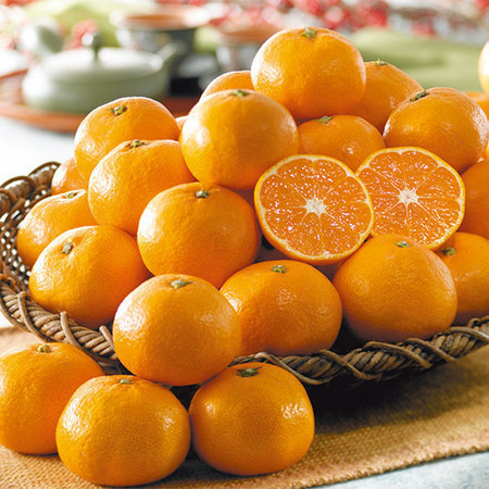 訳あり大玉愛媛みかん９キロ　１１月中旬頃ー１２月下旬頃お届け