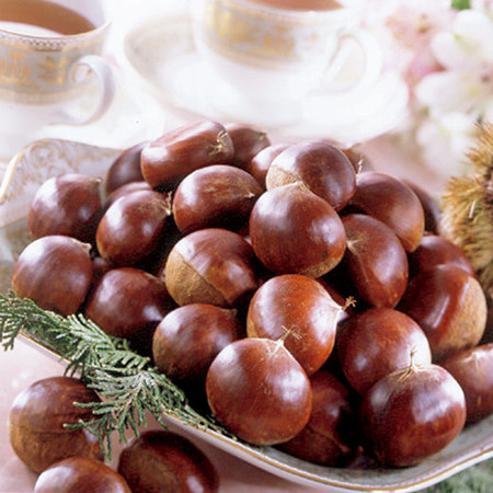 北條さんの貯蔵栗（大粒）１１月下旬頃―１２月中旬頃お届け