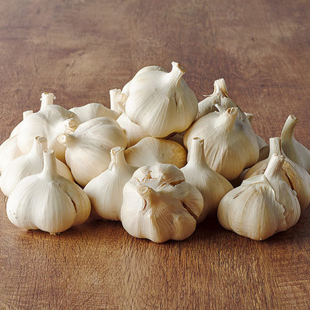 訳ありにんにく１キロ　１１月中旬頃―１２月中旬頃お届け