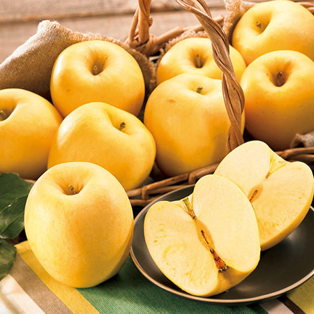 秘蔵っ子りんご！はるか　１２月上旬頃―１２月下旬頃お届け