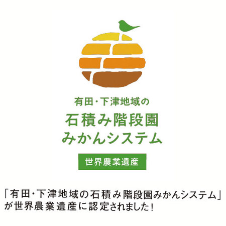 ＡＱブランドのセミノール４．５キロ　２０２６年４月中旬頃ー５月中旬頃お届け