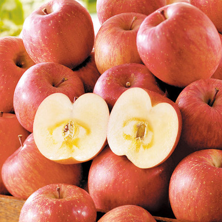 訳あり信州りんご５キロ 　１１月下旬頃―１２月末日頃お届け