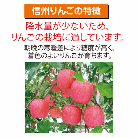 訳あり信州りんご５キロ　１１月中旬頃ー１２月末日頃お届け
