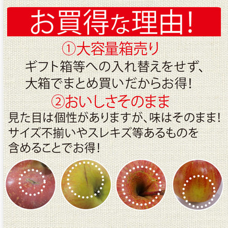訳あり信州りんご１０キロ　１１月中旬頃ー１２月末日頃お届け