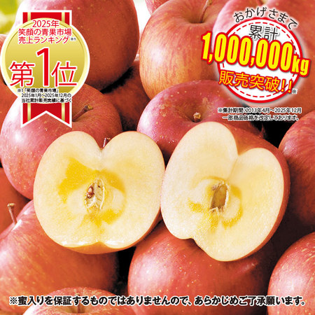 訳あり信州りんご１０キロ　１１月中旬頃ー１２月末日頃お届け