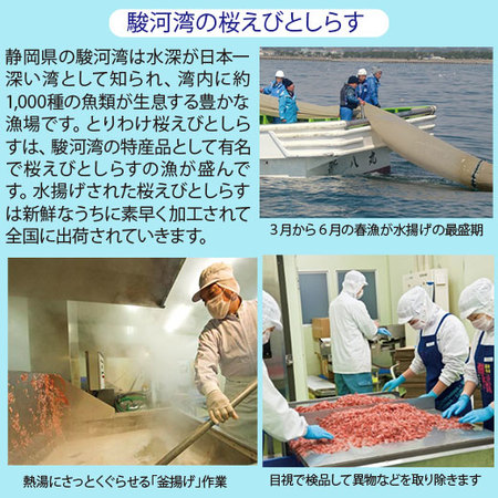 【早期】駿河湾の桜えびコンビ