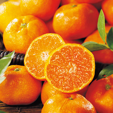 お徳用！和歌山有田みかん５キロ　１１月下旬頃ー１２月下旬頃お届け