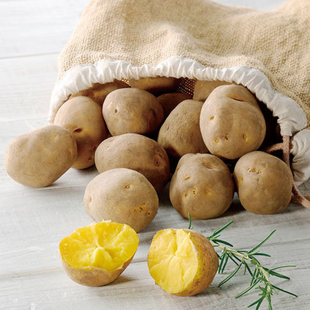 髙畑農場インカのめざめ　２０２６年１月中旬頃ー２０２６年３月中旬頃お届け