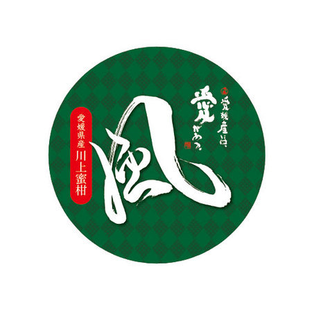 風みかん５キロ　１１月中旬頃ー１２月下旬頃お届け