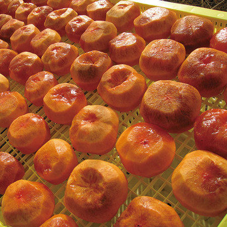 柿之助　２０２６年１月中旬頃ー２０２６年１月下旬頃お届け