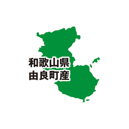 ゆら　木成りはっさく　２０２６年３月中旬頃ー４月中旬頃お届け