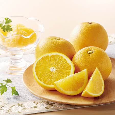 ゆら　木成りはっさく　２０２６年３月中旬頃ー４月中旬頃お届け