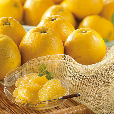 木取り宇和ゴールド４キロ　２０２６年５月中旬頃ー６月中旬頃お届け