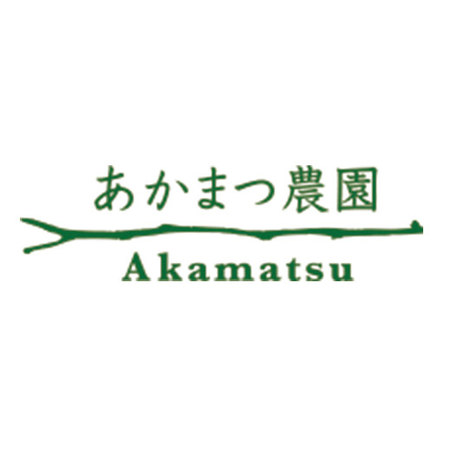 愛媛県産いちご３種詰合せ　２０２５年２月上旬頃ー３月上旬頃お届け