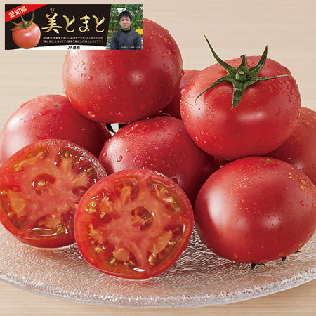 美とまと７００ｇ　２０２６年４月中旬頃ー６月中旬頃お届け