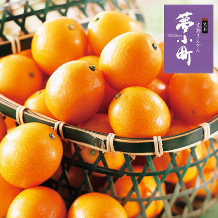 夢小町（金柑）３キロ　２０２６年１月下旬頃ー２月下旬頃お届け