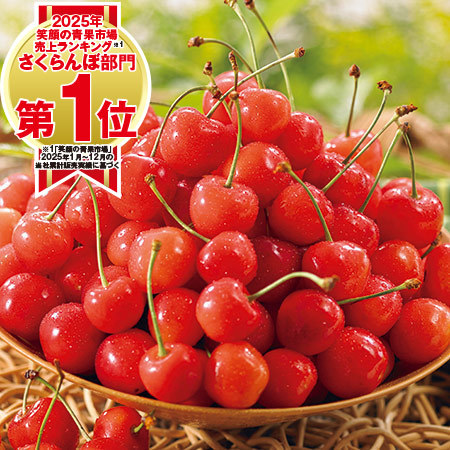 山形お徳用さくらんぼ佐藤錦３５０ｇ　２０２６年６月上旬頃ー７月上旬頃お届け