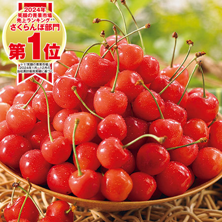 山形お徳用さくらんぼ佐藤錦１．４ｋｇ　２０２６年６月上旬頃ー７月上旬頃お届け
