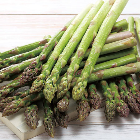 北海道産訳ありグリーンアスパラ　５月中旬頃 ー６月中旬頃お届け