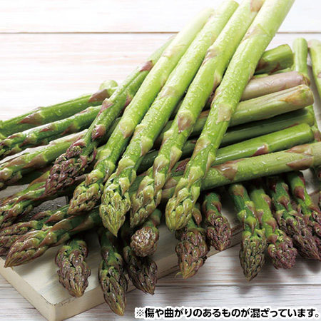 ★北海道産訳ありグリーンアスパラ８００ｇ　２０２６年５月中旬頃ー６月中旬頃お届け