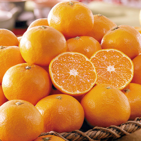 西宇和蜜るみかん　１１月下旬頃ー１２月下旬頃お届け