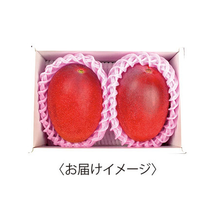 宮崎県産完熟マンゴー　６月中旬頃ー７月中旬頃お届け