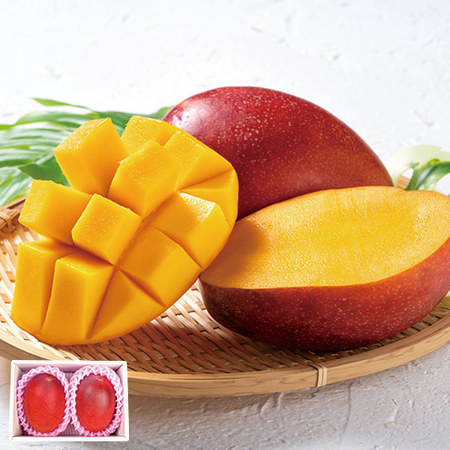 宮崎県産完熟マンゴー　６月中旬頃ー７月中旬頃お届け