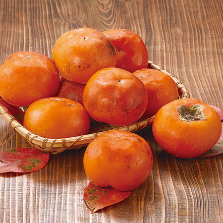 熊本県産太秋柿　１０月中旬頃ー１１月下旬頃お届け