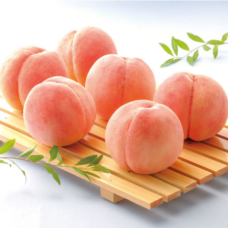 ★福島県産のおいしい桃１．３キロ　７月下旬頃ー８月上旬頃お届け