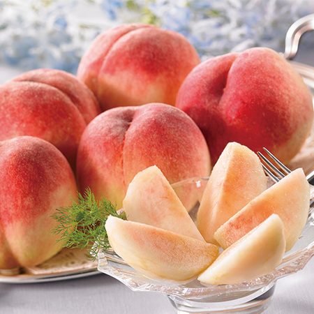 ご家庭用！旬の山形白桃　８月中旬頃―９月下旬頃お届け