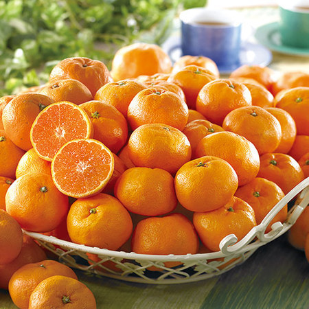 祐徳みかん２キロ　１１月中旬頃ー１２月下旬頃お届け