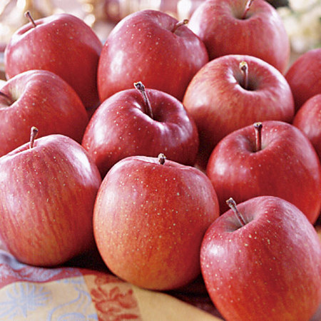 山形県産訳ありりんご５キロ　１０月上旬頃ー１２月下旬頃お届け