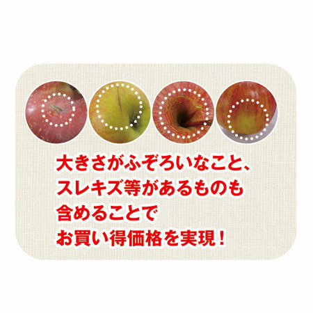 山形県産訳ありりんご１０キロ　１０月上旬頃ー１２月下旬頃お届け