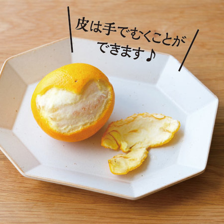 静岡県産レモネード　２０２６年２月下旬ー4月下旬頃お届け