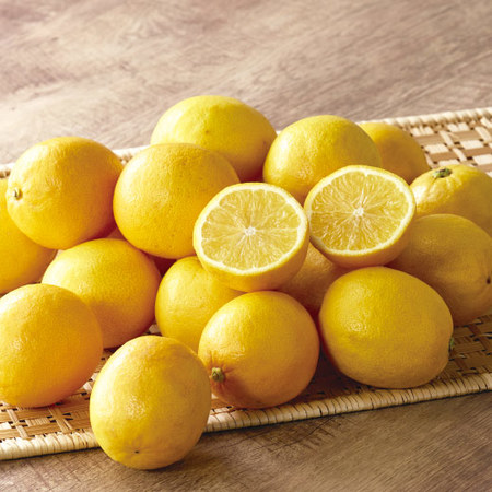 静岡県産レモネード　２０２６年２月下旬ー4月下旬頃お届け