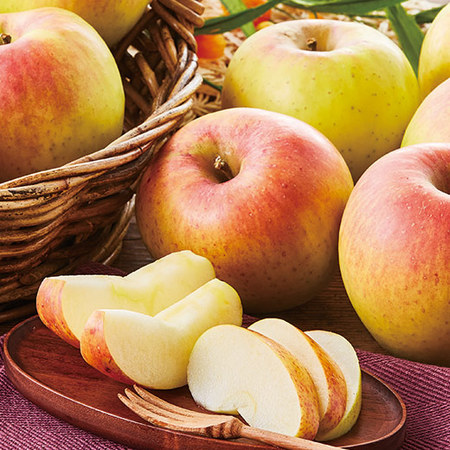 訳あり名月りんご５キロ　１１月中旬頃ー１２月下旬頃お届け