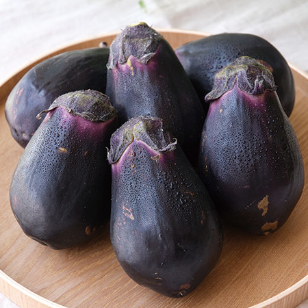 大阪産泉州水なす　２０２６年４月下旬頃ー８月下旬頃お届け