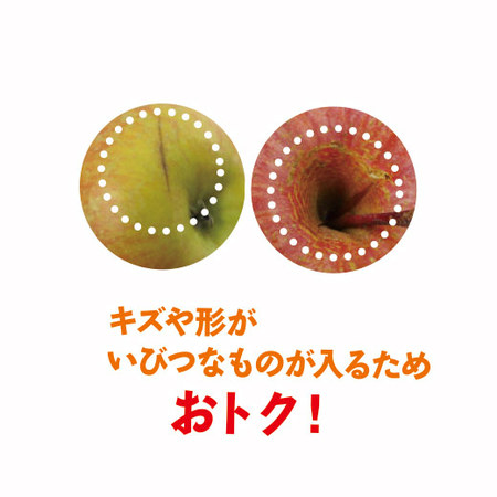 山形県産訳あり小玉りんご１０キロ　１０月下旬頃ー１２月下旬頃お届け