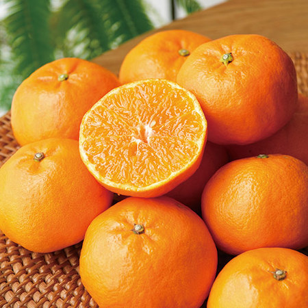 あすみ　２０２６年３月上旬頃ー３月下旬頃お届け