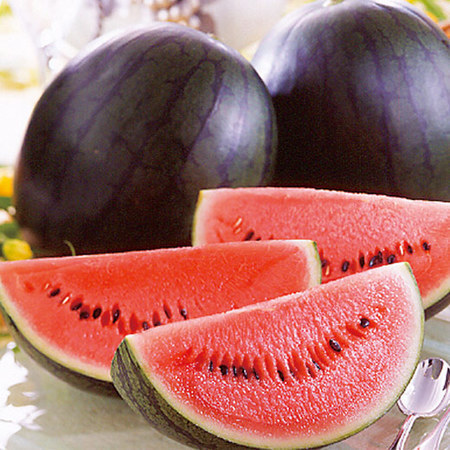 ひとりじめボンボンすいか　２０２６年５月下旬頃ー６月中旬頃お届け