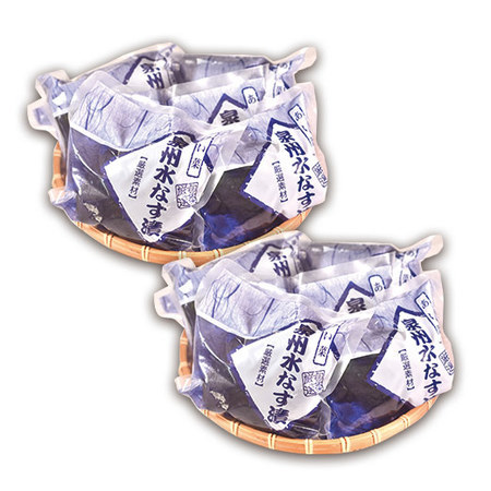 泉州水なす漬１０個　２０２６年５月上旬頃ー９月下旬頃お届け