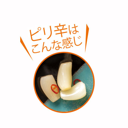 鳥取県産砂丘らっきょう　4月上旬頃ー4月下旬頃お届け